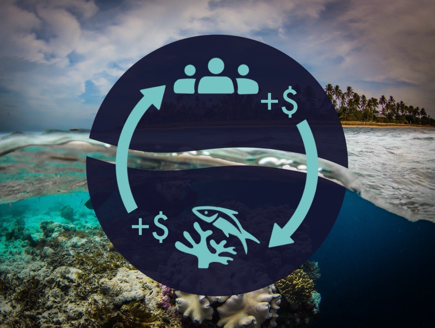 Diagram showing the virtuous cycle: community value, reef regeneration, verified outcomes, and partner support