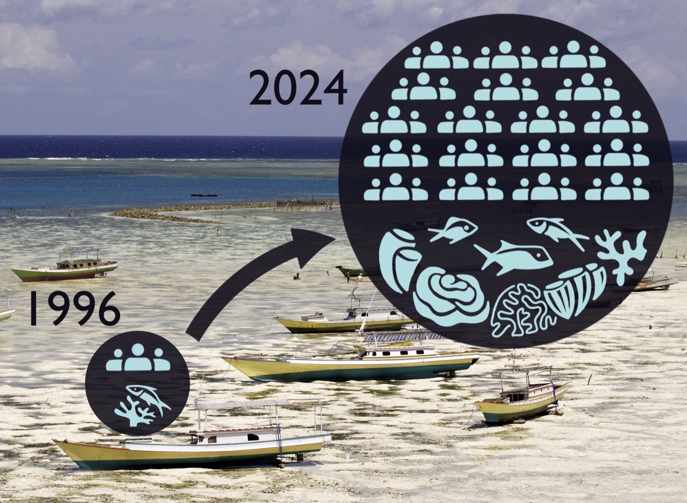 Community growth timeline showing expansion from 1996 to 2024, with increasing numbers of local stewards and employees
