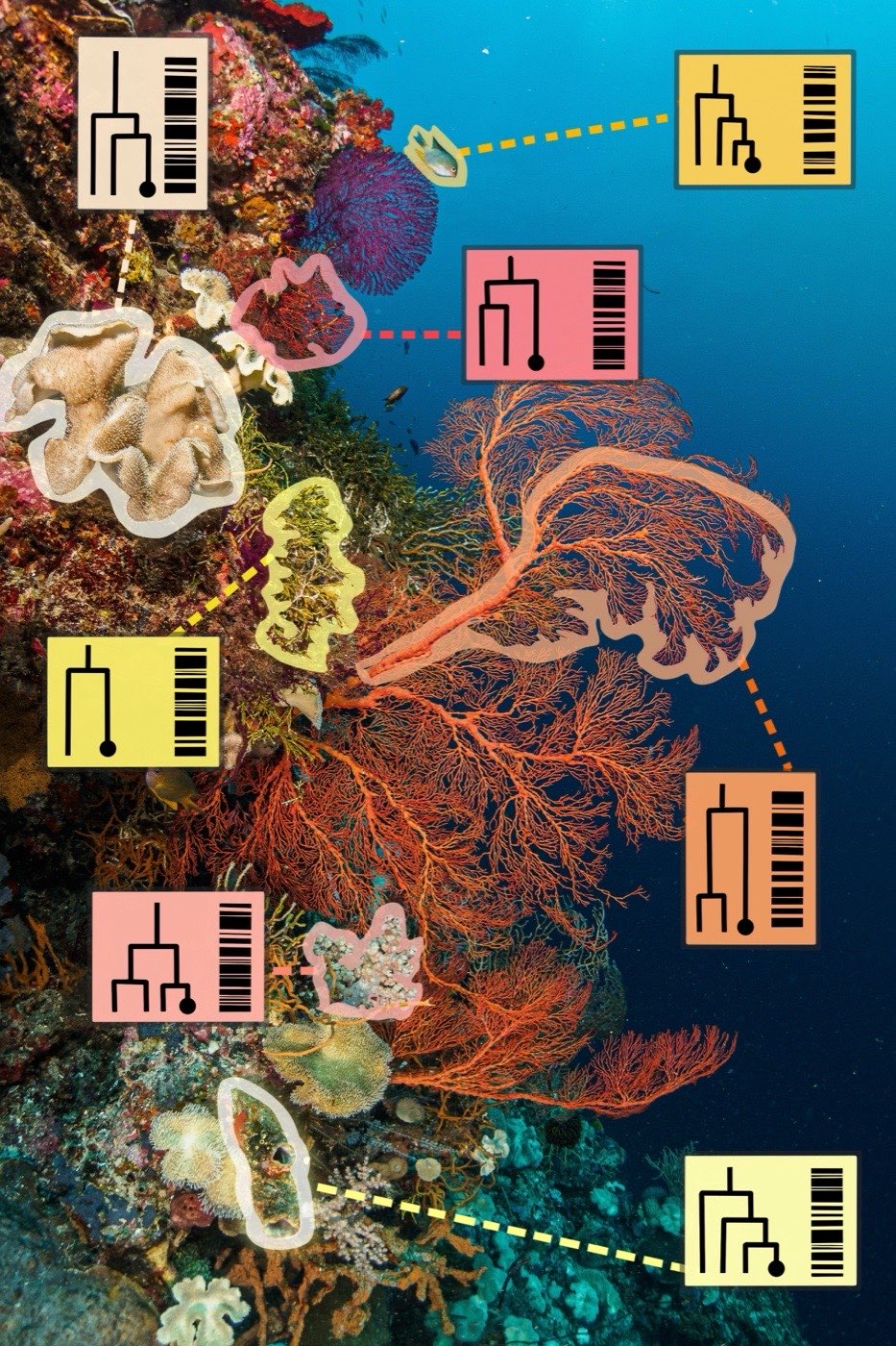 Environmental DNA analysis showing species barcodes identified from seawater samples